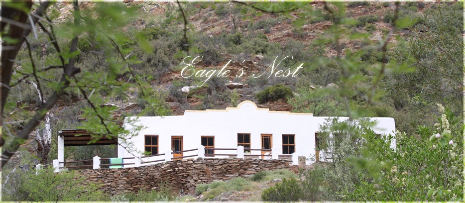 Eagle's Nest
