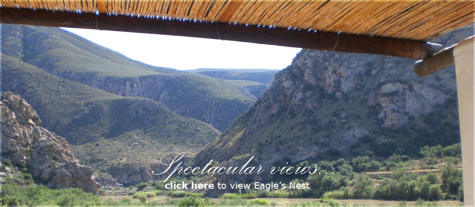 The views at Eagle's Nest